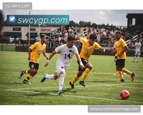 开云体育在线：领先的体育直播平台带来最真实最震撼的比赛现场感受