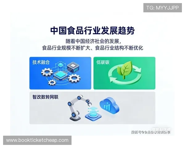国内匹克球拍企业发展现状与未来趋势分析助力行业持续成长与突破