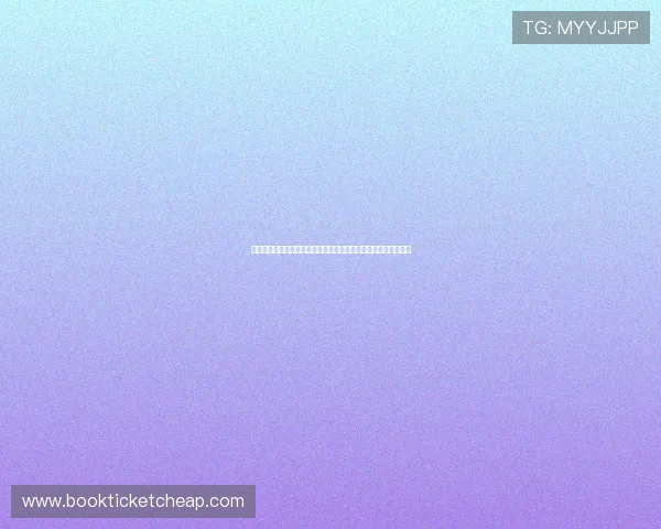世界杯突尼斯对阵荷兰比赛全攻略:最佳观赛地点与交通指南详解 世界杯突尼斯对阵荷兰比赛全攻略:最佳观赛地点与交通指南详解